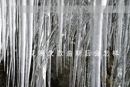 花呗欠款逾期后会怎样 花呗欠款逾期后会怎样