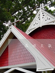 花呗欠款逾期后期怎么还上 花呗欠款逾期后期怎么还上