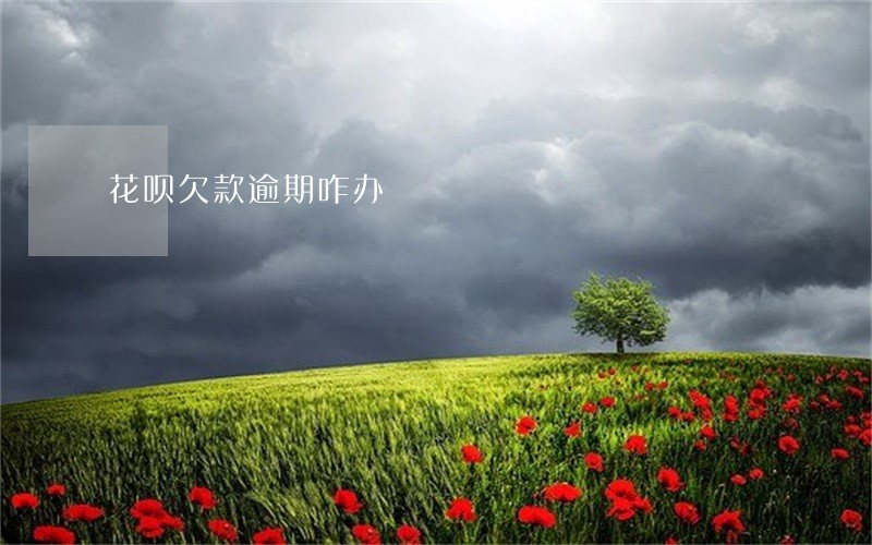 花呗欠款逾期咋办