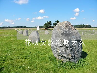 花呗欠款逾期太久