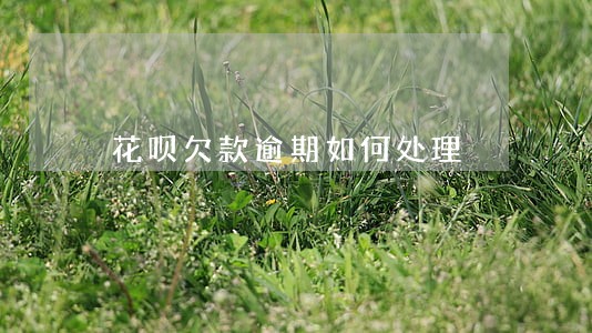 花呗欠款逾期如何处理 花呗欠款逾期如何处理