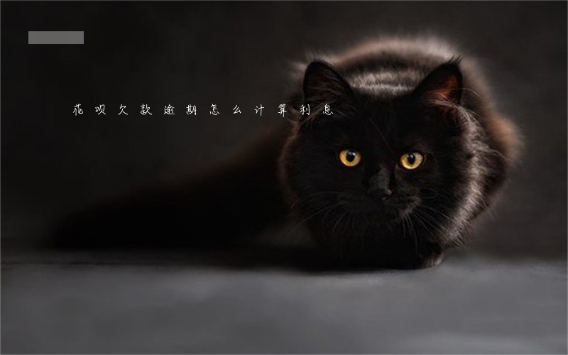 花呗欠款逾期怎么计算利息 花呗欠款逾期怎么计算利息