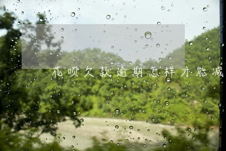 花呗欠款逾期怎样才能减免利息 花呗欠款逾期怎样才能减免利息