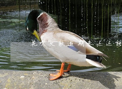 花呗欠款逾期未还还能用吗 花呗欠款逾期未还还能用吗
