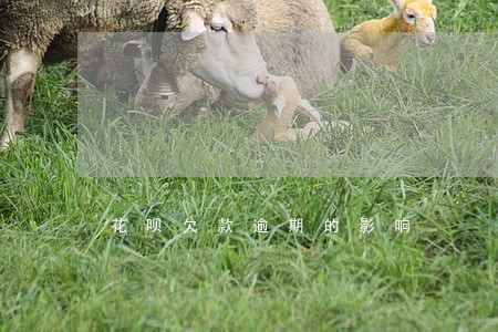 花呗欠款逾期的影响 花呗欠款逾期的影响