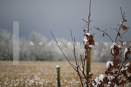 花呗欠款逾期短信什么样子