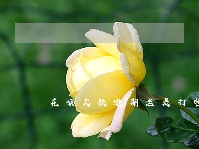 花呗欠款逾期老是打电话催不接