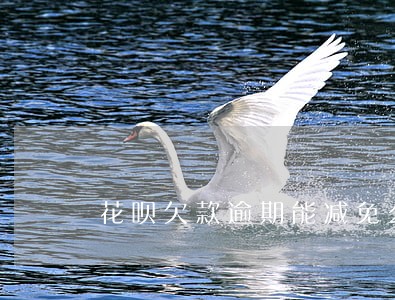 花呗欠款逾期能减免么