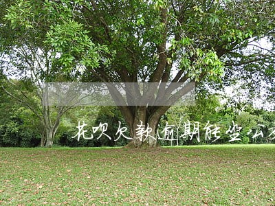 花呗欠款逾期能坐公交车吗 花呗欠款逾期能坐公交车吗