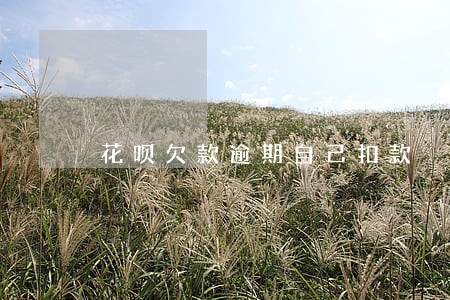 花呗欠款逾期自己扣款