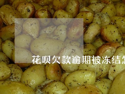 花呗欠款逾期被冻结怎样才能还款 花呗欠款逾期被冻结怎样才能还款