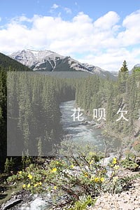 花呗欠款逾期被走访
