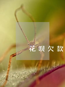 花呗欠款逾期还不了 花呗欠款逾期还不了