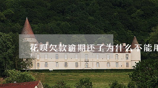 花呗欠款逾期还了为什么不能用