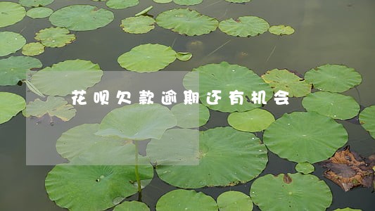 花呗欠款逾期还有机会 花呗欠款逾期还有机会
