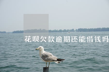 花呗欠款逾期还能借钱吗 花呗欠款逾期还能借钱吗