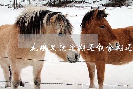 花呗欠款逾期还能分期还款吗 花呗欠款逾期还能分期还款吗