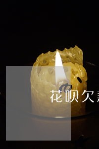 花呗欠款逾期高清图 花呗欠款逾期高清图