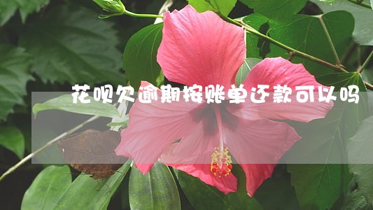 花呗欠逾期按账单还款可以吗