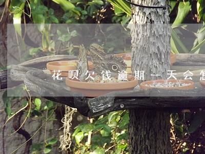 花呗欠钱逾期一天会怎么样