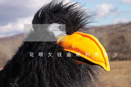 花呗欠钱逾期利息多少 花呗欠钱逾期利息多少