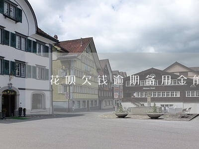 花呗欠钱逾期备用金能用吗 花呗欠钱逾期备用金能用吗