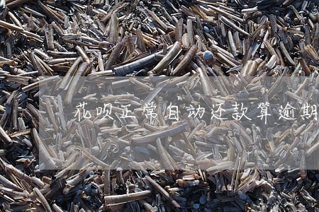 花呗正常自动还款算逾期如何解决 花呗正常自动还款算逾期如何解决