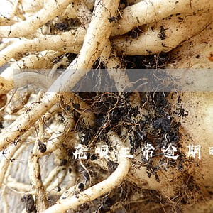 花呗正常逾期时间 花呗正常逾期时间