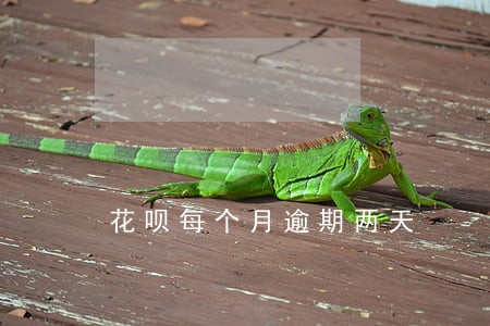 花呗每个月逾期两天