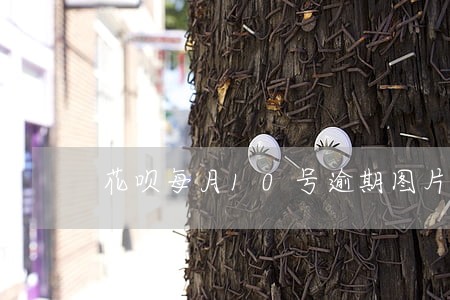 花呗每月10号逾期图片 花呗每月10号逾期图片