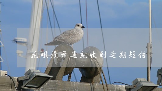 花呗没开通就收到逾期短信 花呗没开通就收到逾期短信