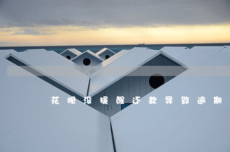 花呗没提醒还款导致逾期