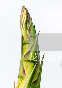 花呗没有利息逾期一个月要紧嘛 花呗没有利息逾期一个月要紧嘛