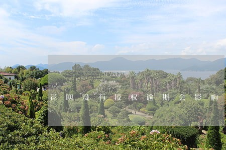 花呗没有授权逾期会影响吗 花呗没有授权逾期会影响吗