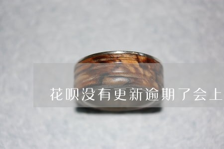 花呗没有更新逾期了会上征信吗