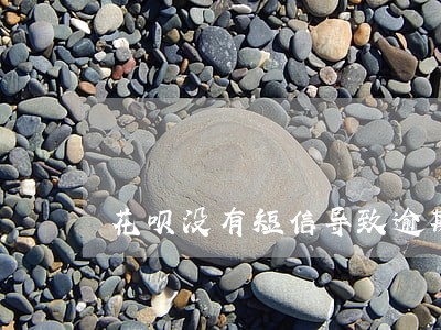 花呗没有短信导致逾期