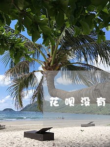 花呗没有短信提醒造成逾期 花呗没有短信提醒造成逾期