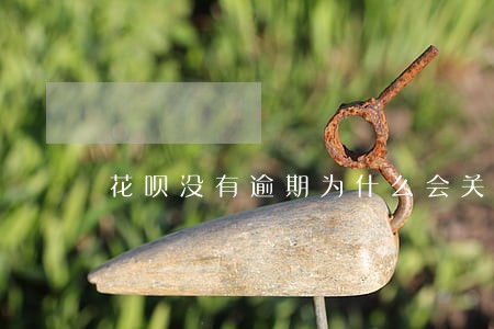 花呗没有逾期为什么会关闭 花呗没有逾期为什么会关闭