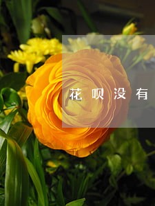 花呗没有逾期为什么会被冻结 花呗没有逾期为什么会被冻结