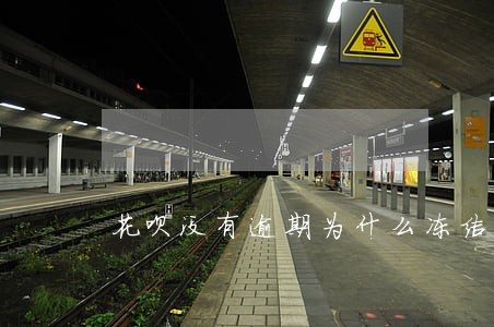 花呗没有逾期为什么冻结了 花呗没有逾期为什么冻结了