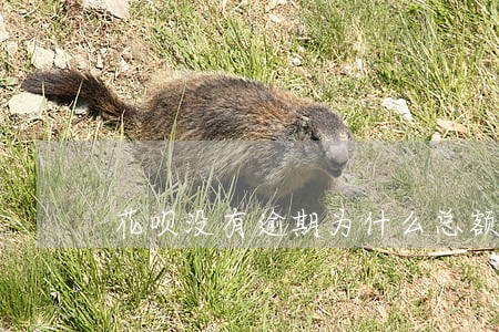 花呗没有逾期为什么总额度变少了 花呗没有逾期为什么总额度变少了