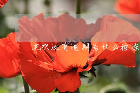 花呗没有逾期为什么被冻结 花呗没有逾期为什么被冻结
