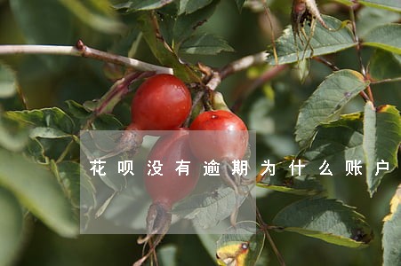 花呗没有逾期为什么账户冻结 花呗没有逾期为什么账户冻结