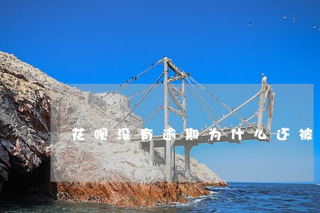 花呗没有逾期为什么还被冻结