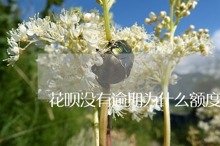 花呗没有逾期为什么额度少了 花呗没有逾期为什么额度少了