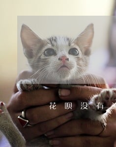 花呗没有逾期了会不会上黑名单 花呗没有逾期了会不会上黑名单