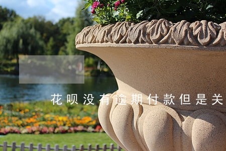 花呗没有逾期付款但是关不了 花呗没有逾期付款但是关不了