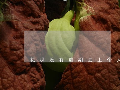花呗没有逾期会上个人征信 花呗没有逾期会上个人征信