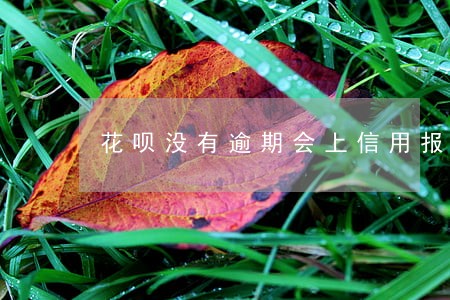 花呗没有逾期会上信用报告吗 花呗没有逾期会上信用报告吗