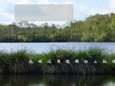 花呗没有逾期会上征信吗 花呗没有逾期会上征信吗